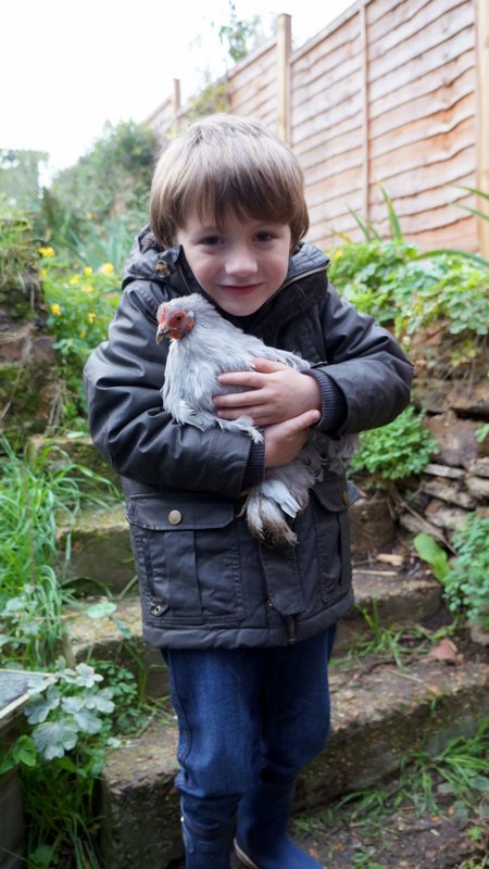 child holding a Pekin Bantam chicken at a Petting Day for Porridge and Rice